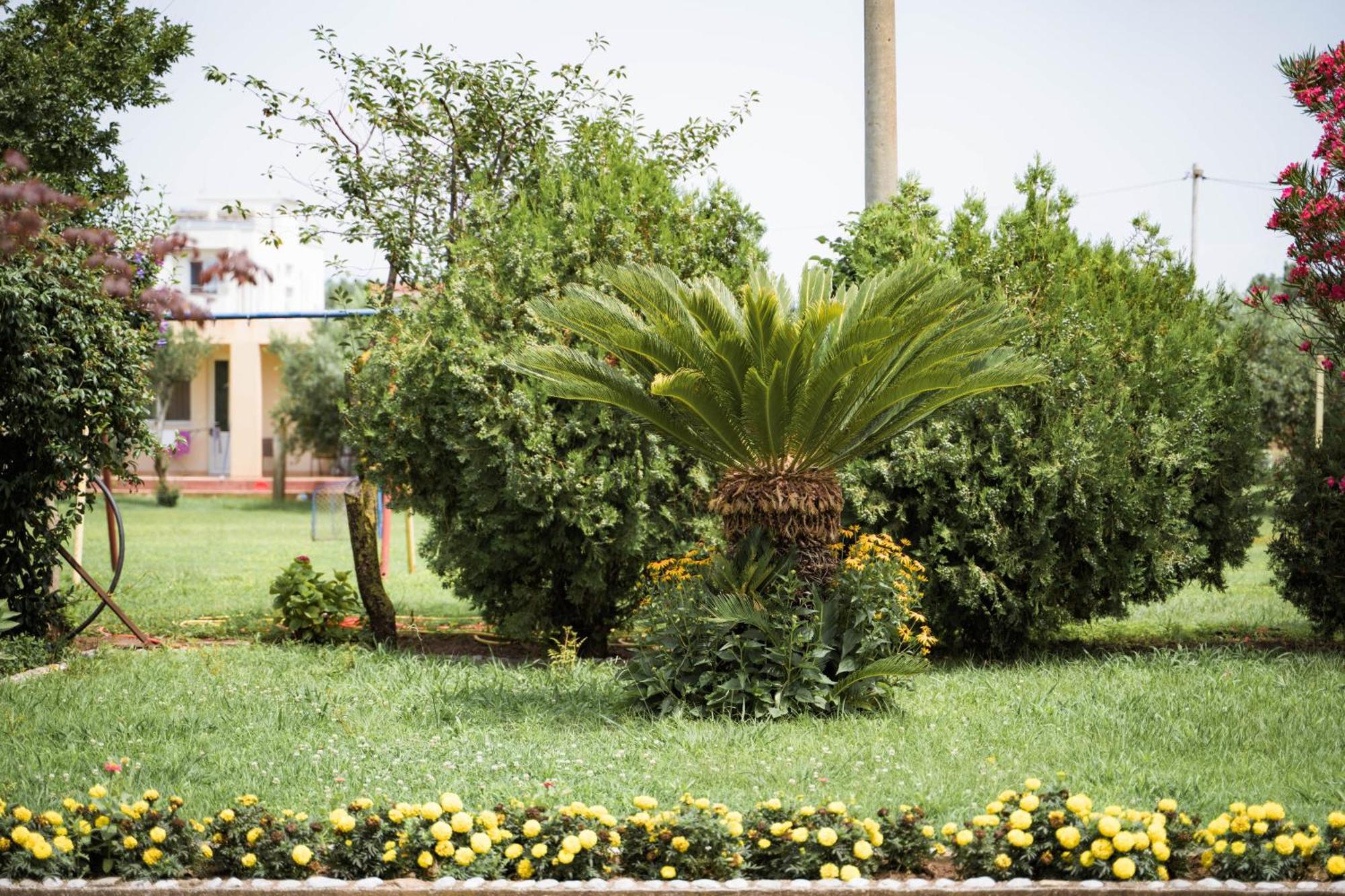 אולסינץ' Apartments Rudaj מראה חיצוני תמונה
